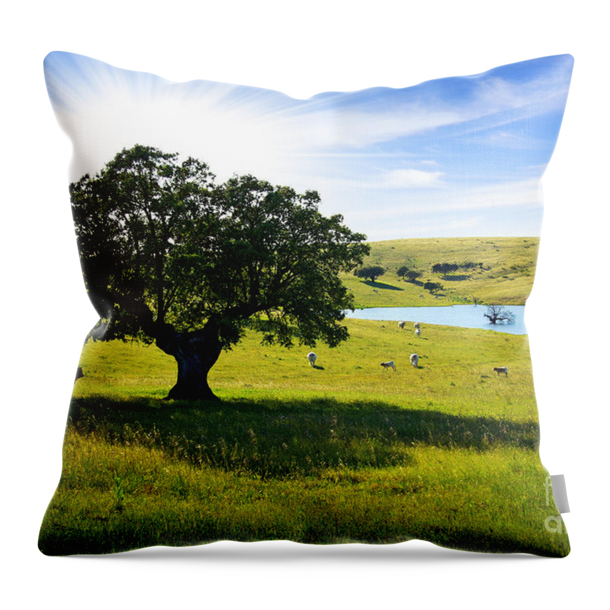 Agriculture Throw Pillow featuring the photograph Pasturing cows by Carlos Caetano