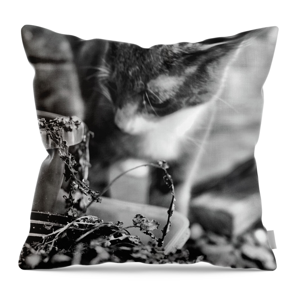 Animals Throw Pillow featuring the photograph patches explores 5 BnW by Michael Blaine