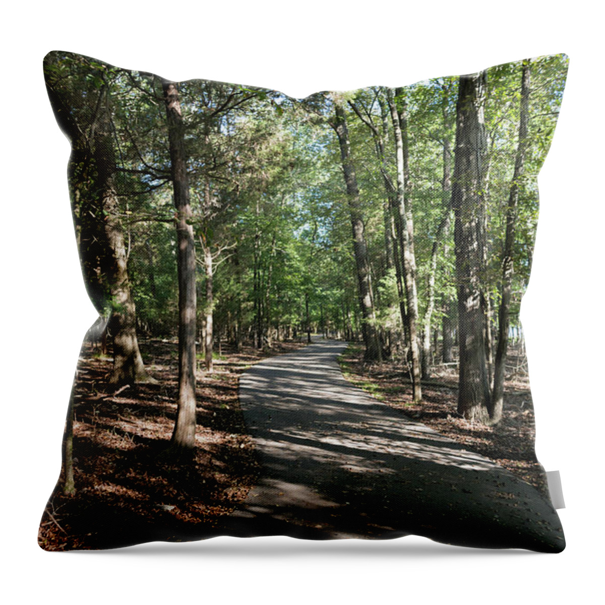 Nature Throw Pillow featuring the photograph Path Around Lake by John Benedict