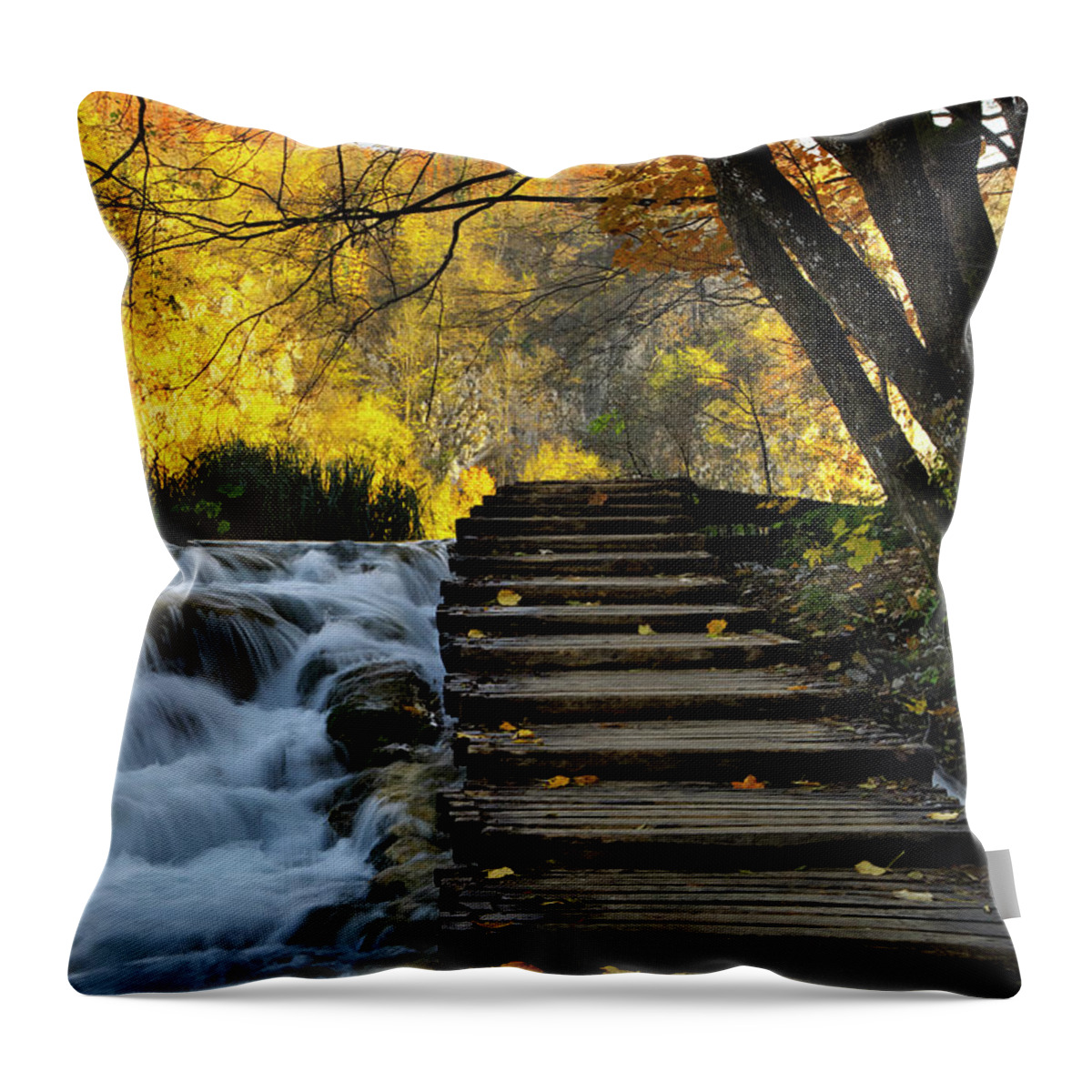 Plitvice Throw Pillow featuring the photograph Path in Plitvice by Ivan Slosar