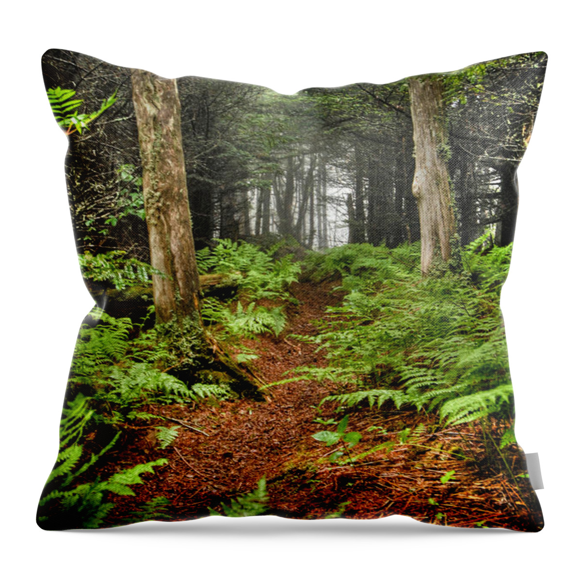 Landscape Throw Pillow featuring the photograph Path in the Ferns by Joye Ardyn Durham