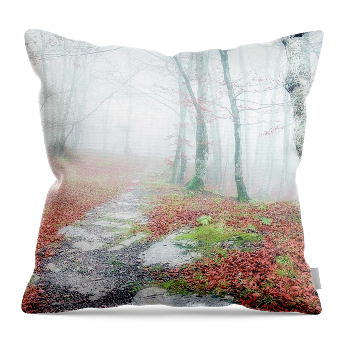 Autumn Throw Pillow featuring the photograph Path in the forest by Mikel Martinez de Osaba