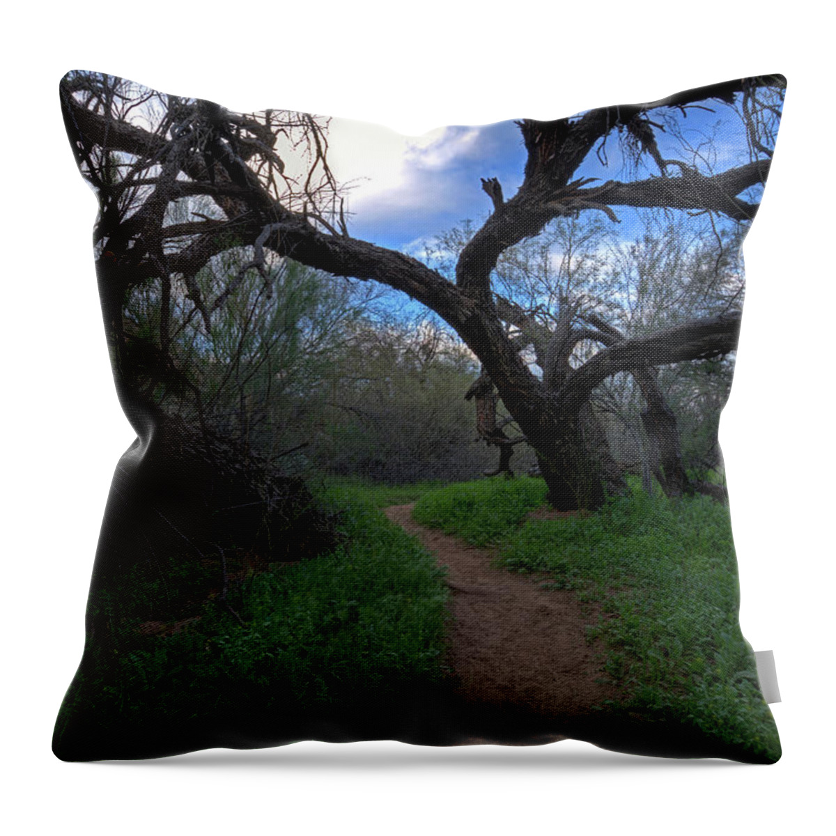 Path Throw Pillow featuring the photograph Path in the Woods by Sue Cullumber