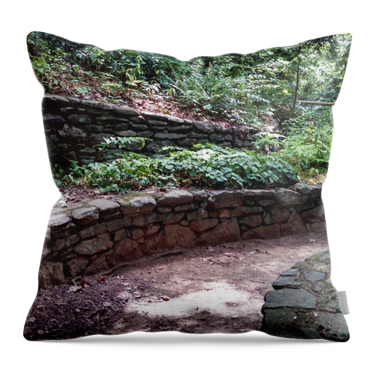 Path Throw Pillow featuring the photograph Path Takes A Turn by Allen Nice-Webb