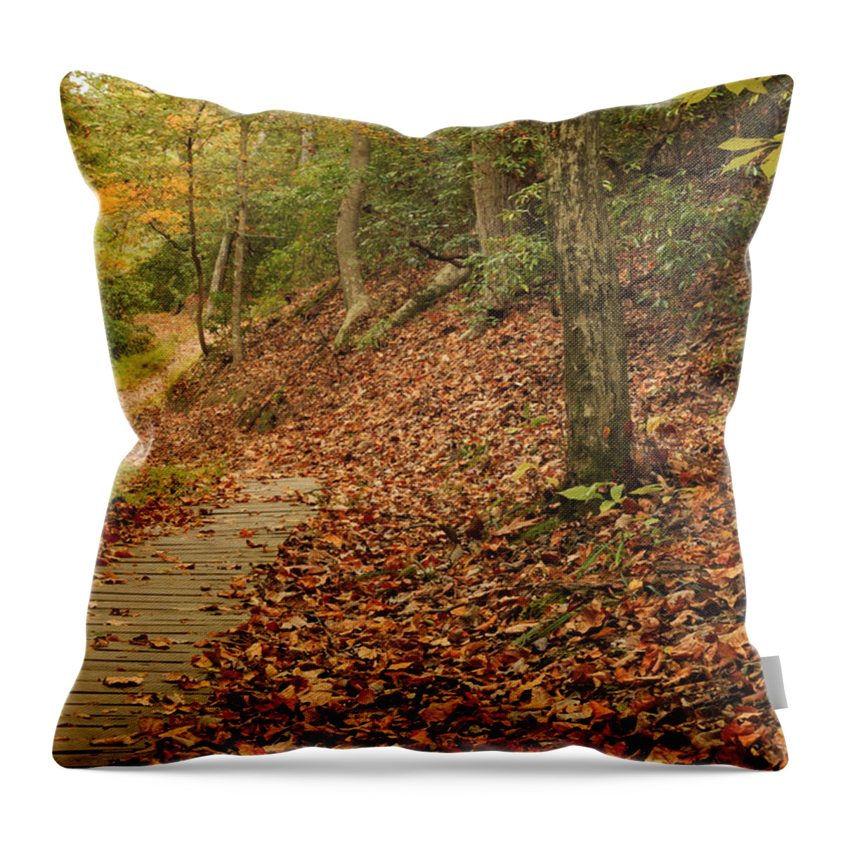 Landscape Throw Pillow featuring the photograph Path to Autumn by Travis Rogers