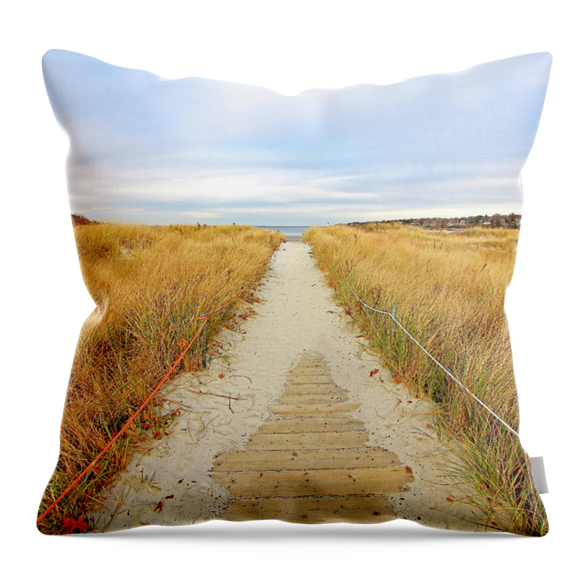 Beach Throw Pillow featuring the photograph Path to the beach by Brian Pflanz