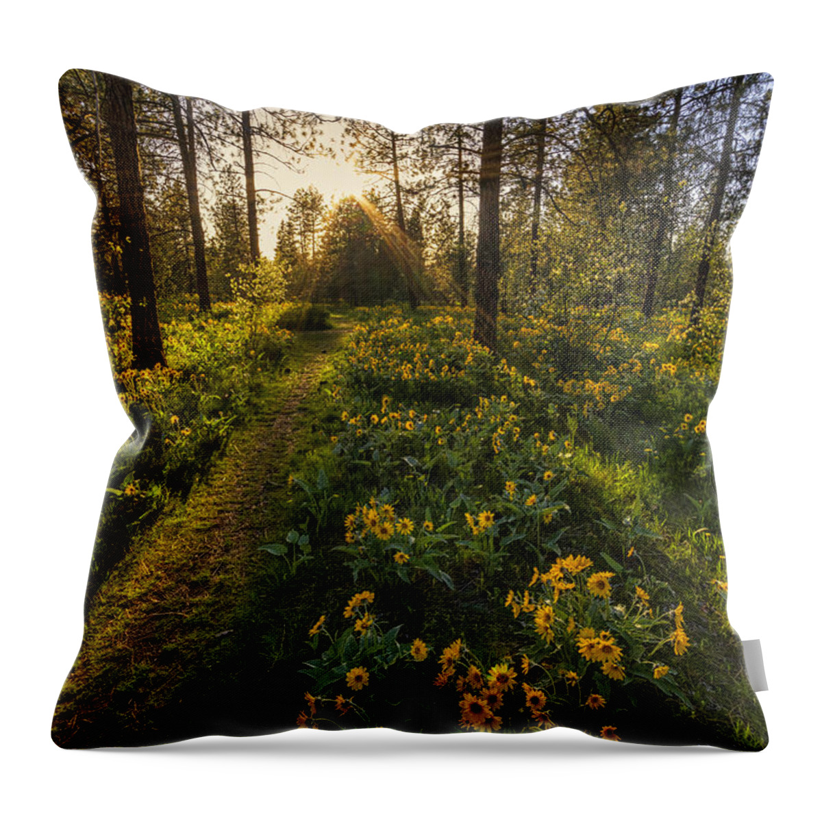 Hamblen Park Throw Pillow featuring the photograph Path to the Golden Light by Mark Kiver