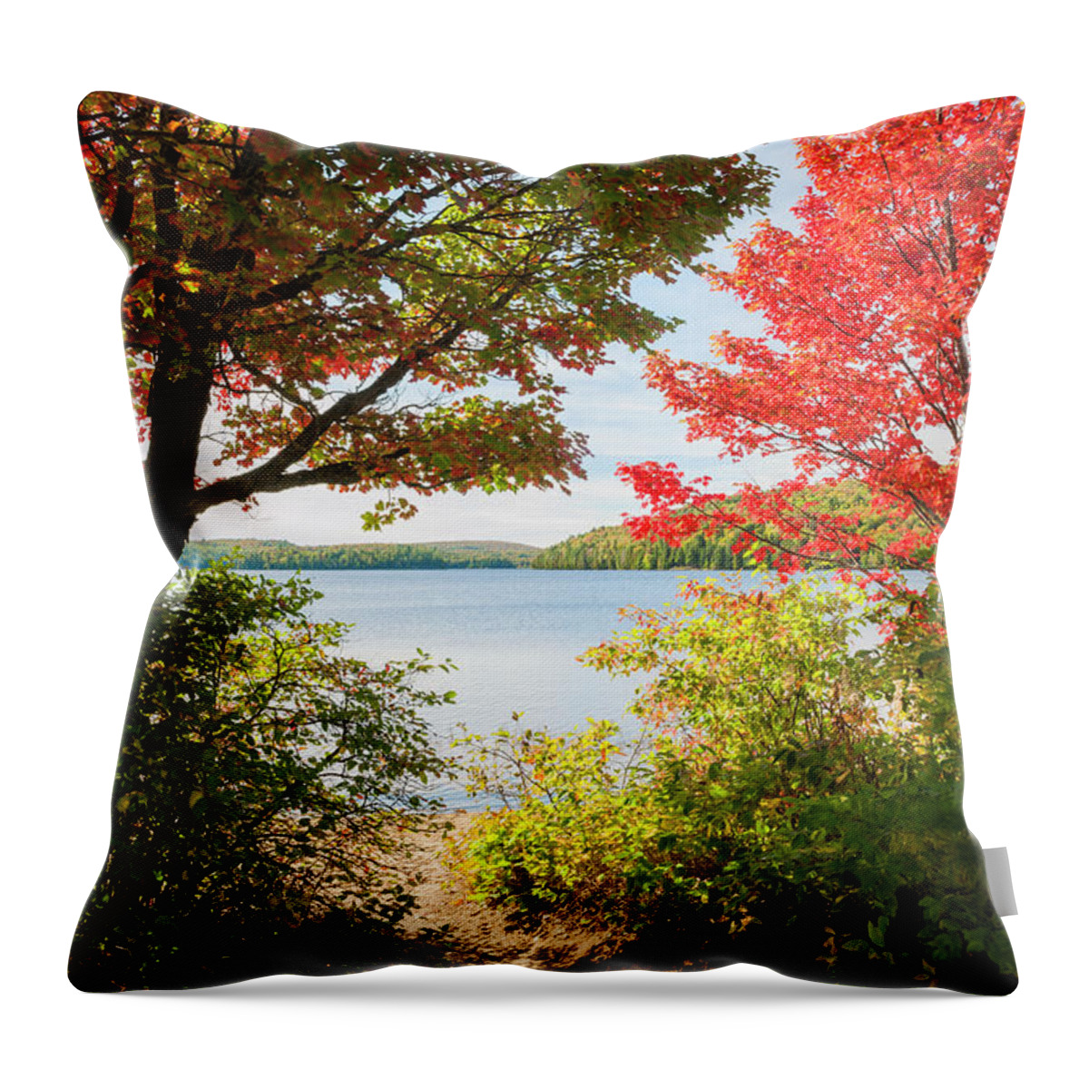 Fall Throw Pillow featuring the photograph Path to the lake by Elena Elisseeva