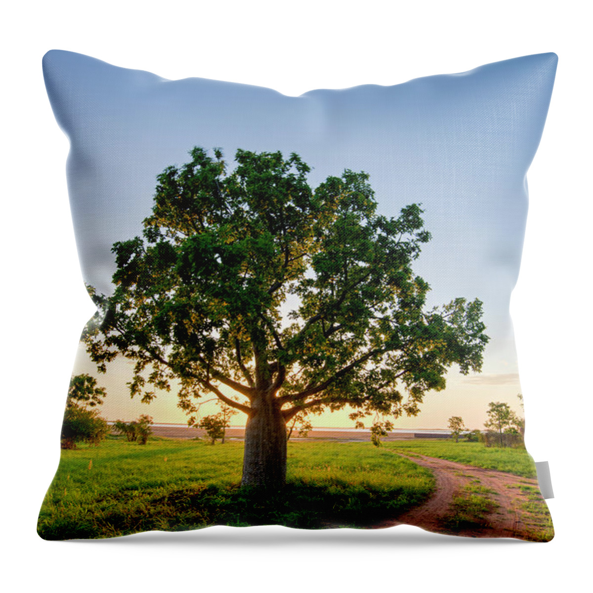 Boab Throw Pillow featuring the photograph Path to the Sun by John Coffey