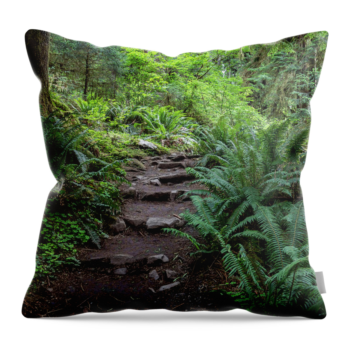 Ferns Throw Pillow featuring the photograph Pathway into the Forest by Roslyn Wilkins