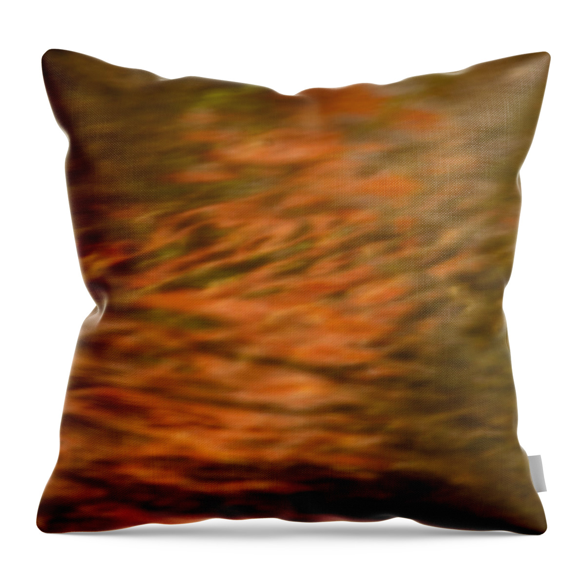 Cumberland Cove Throw Pillow featuring the photograph Pathway of Light by Douglas Barnett
