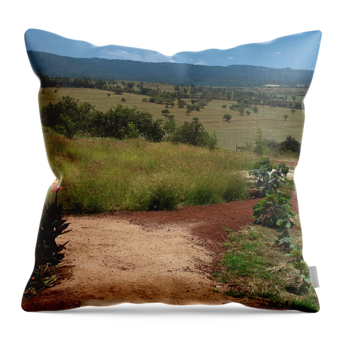 Rural Scene Throw Pillow featuring the photograph Pathway to the Hills by Sally Weigand