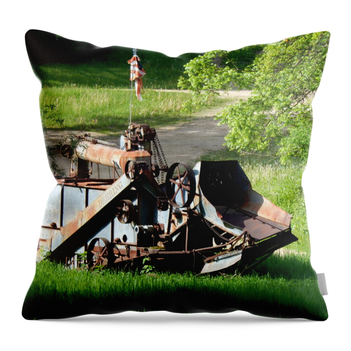 Trashing Machine Throw Pillow featuring the photograph Patriotic Rust by Wild Thing