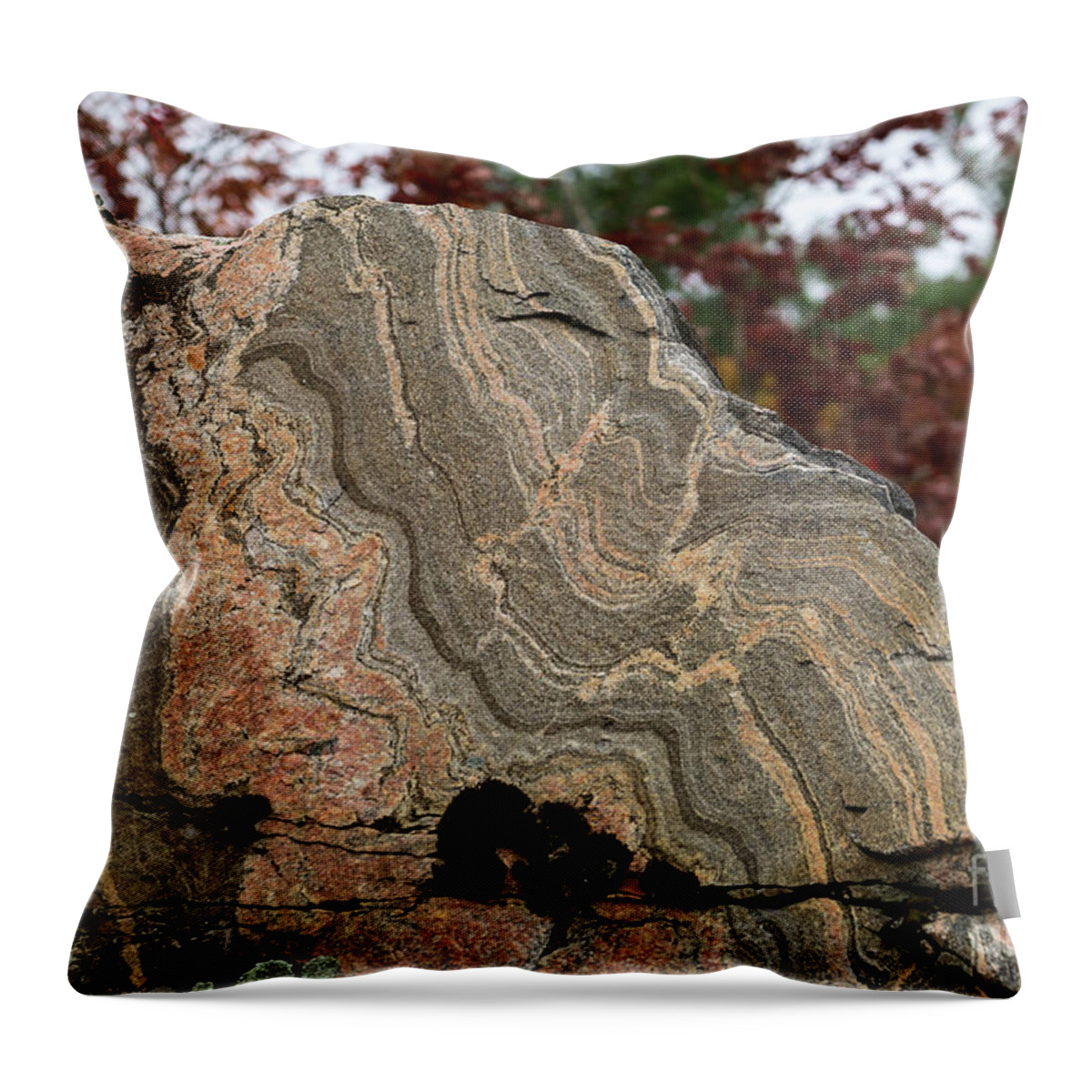 Gneiss Throw Pillow featuring the photograph Pattern in a gneiss rock by Les Palenik