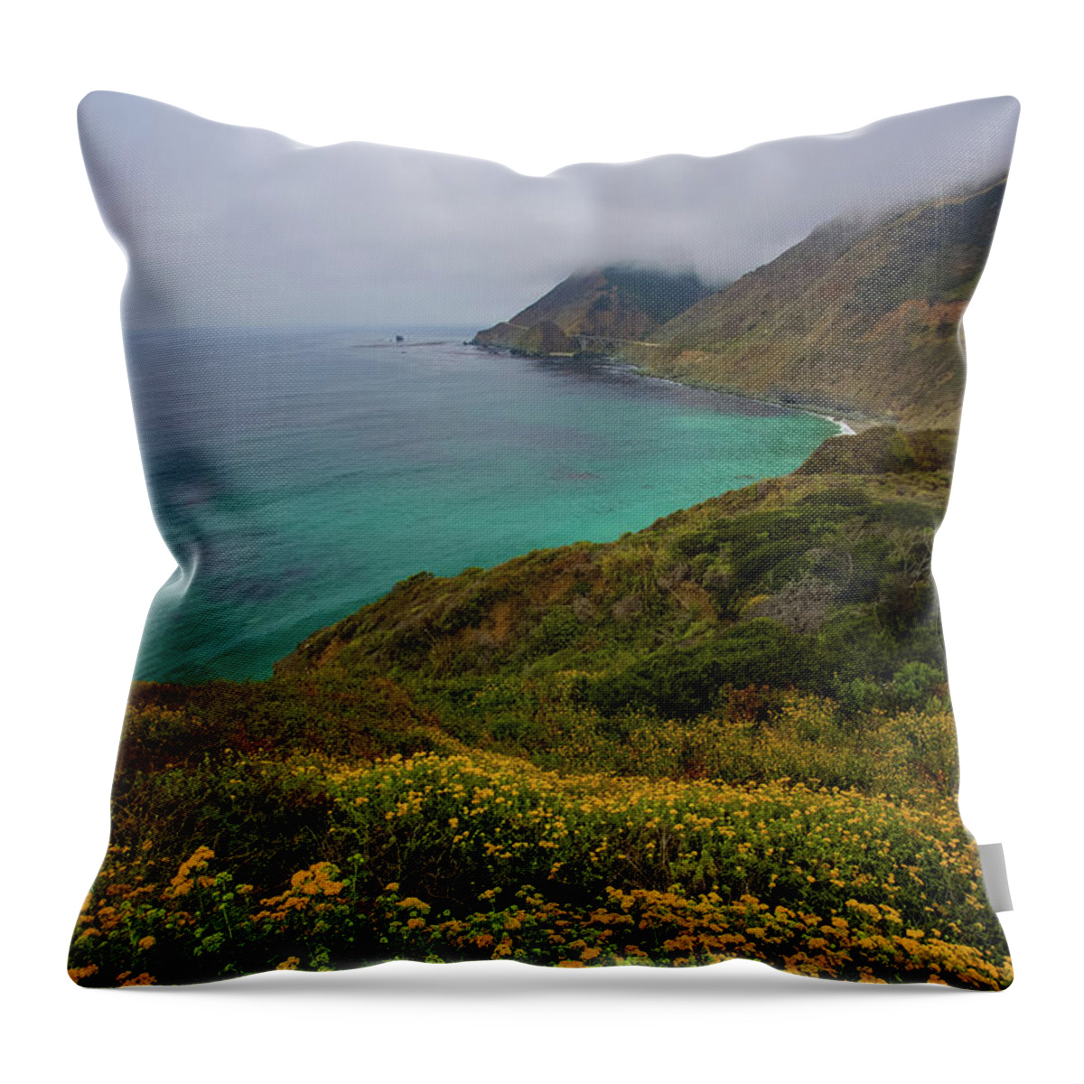 California Throw Pillow featuring the photograph Pch 1 by Dillon Kalkhurst