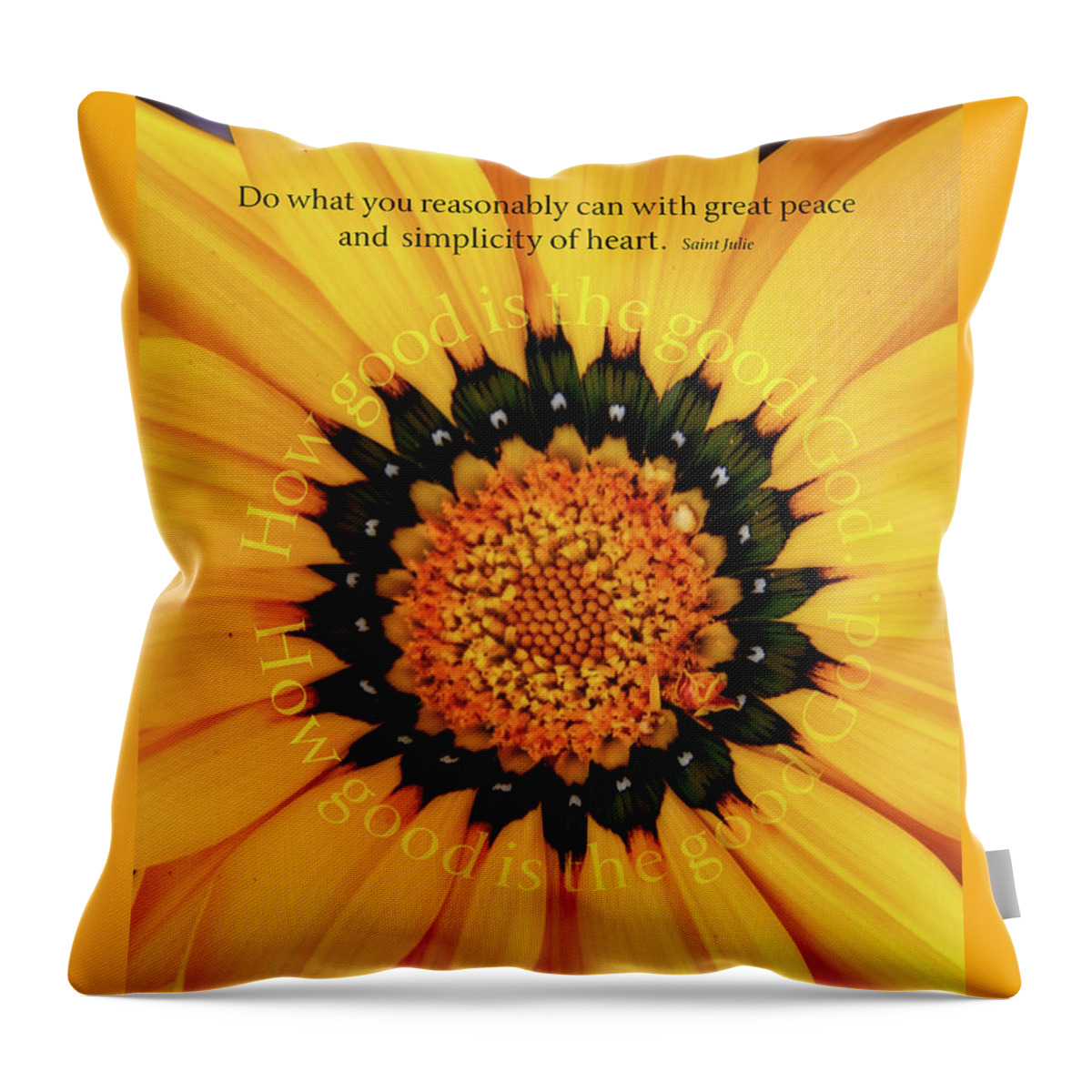 Photography Throw Pillow featuring the digital art Peace and Simplicity Vertical by Terry Davis