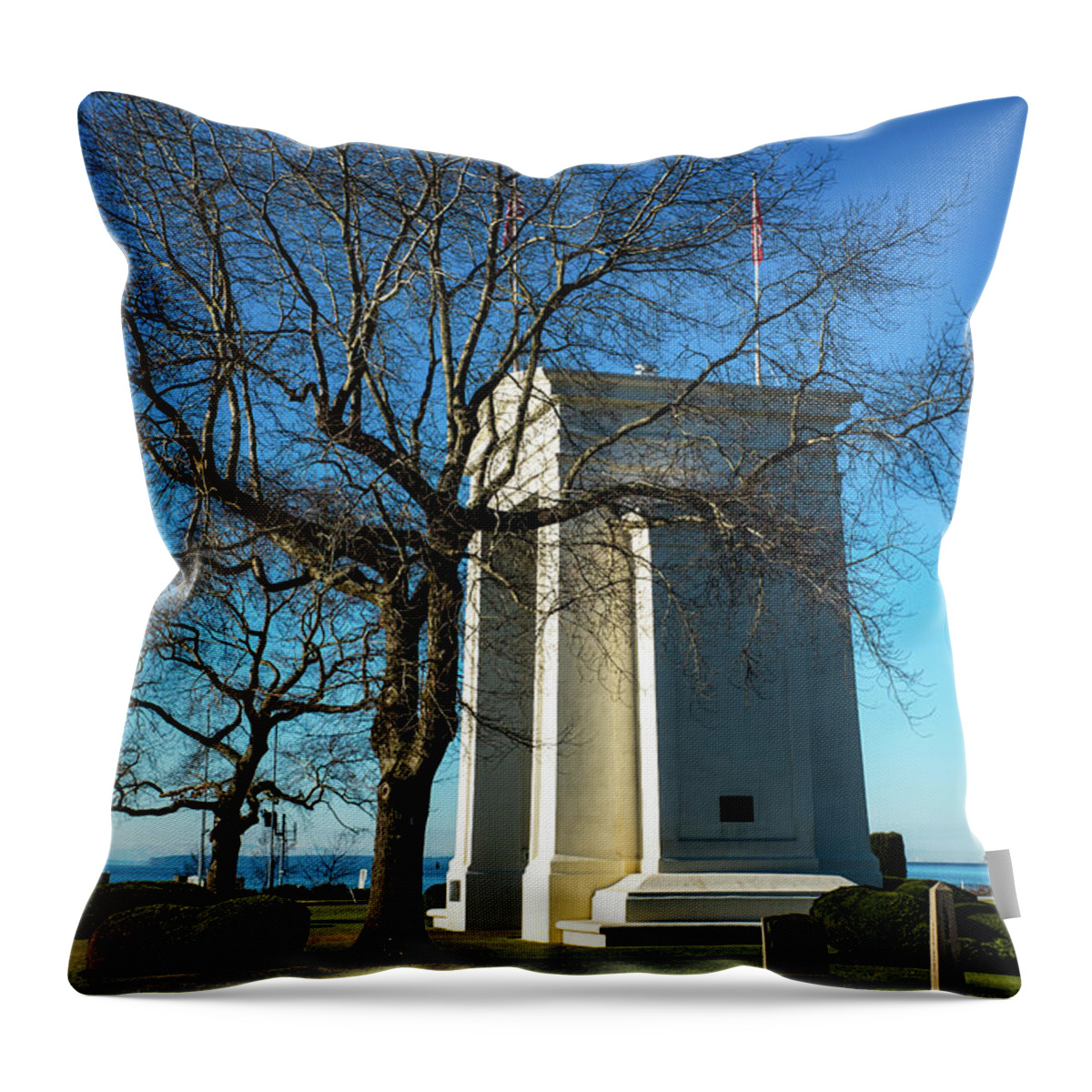 Peace Arch And January Trees Throw Pillow featuring the photograph Peace Arch and January Trees by Tom Cochran