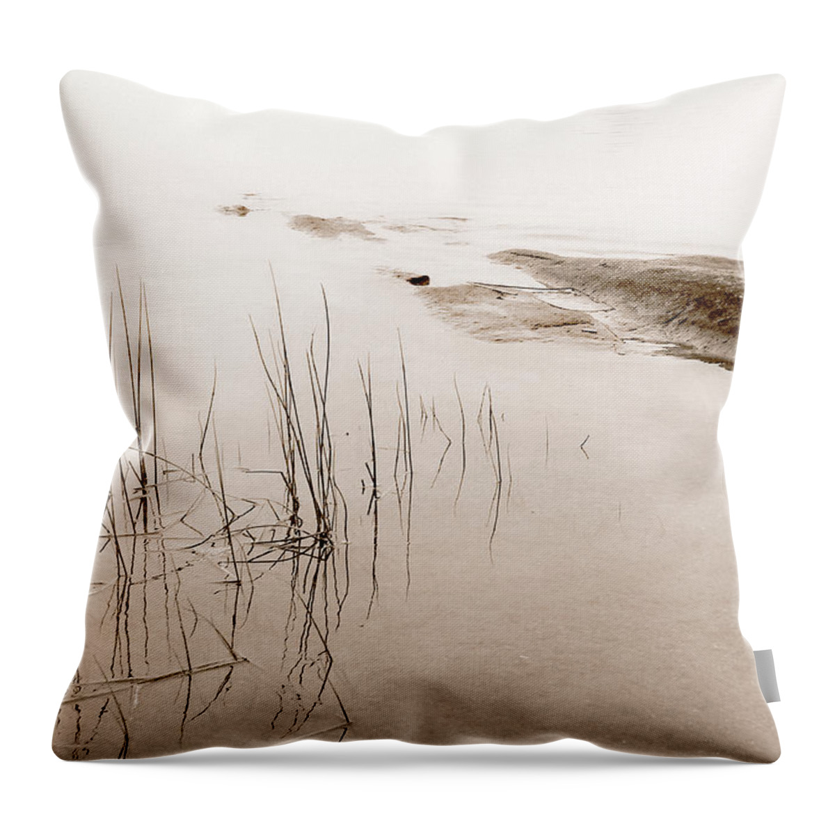 Water Throw Pillow featuring the photograph Peaceful Moment by Linda McRae