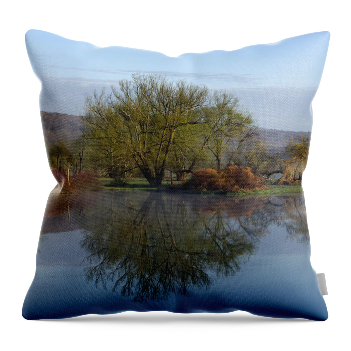 Peaceful Throw Pillow featuring the photograph Peaceful Reflection Landscape by Christina Rollo