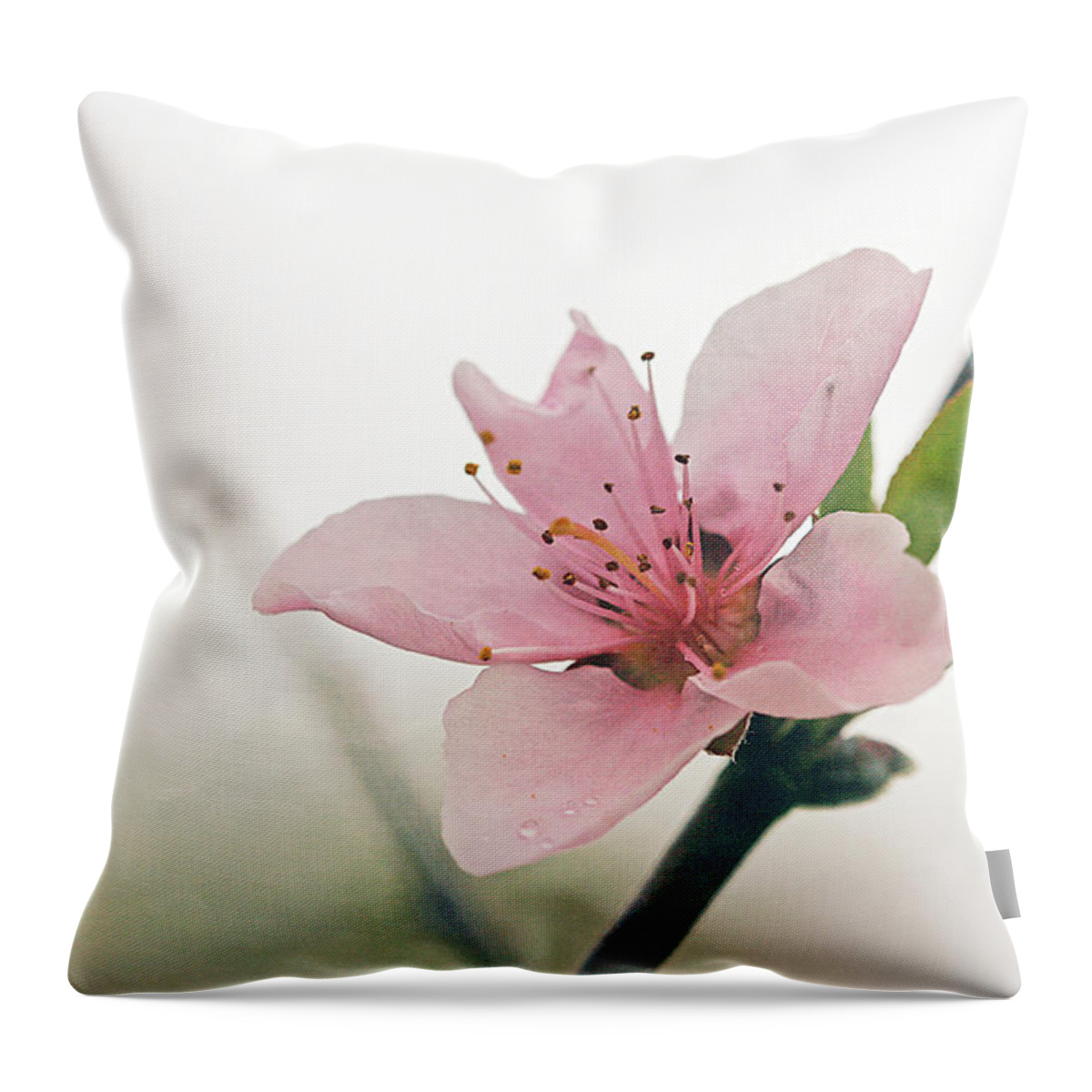 Cindi Ressler Throw Pillow featuring the photograph Peach Blossom by Cindi Ressler