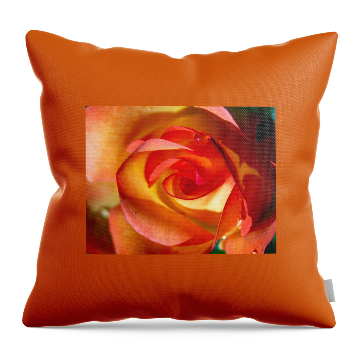 Rose Throw Pillow featuring the photograph Peach Rose by Amy Fose