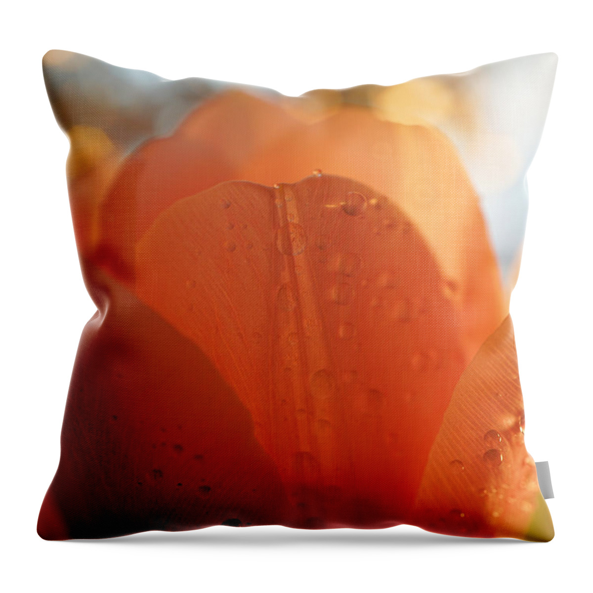 Gentle Throw Pillow featuring the photograph Peach Tulip by Lilia S