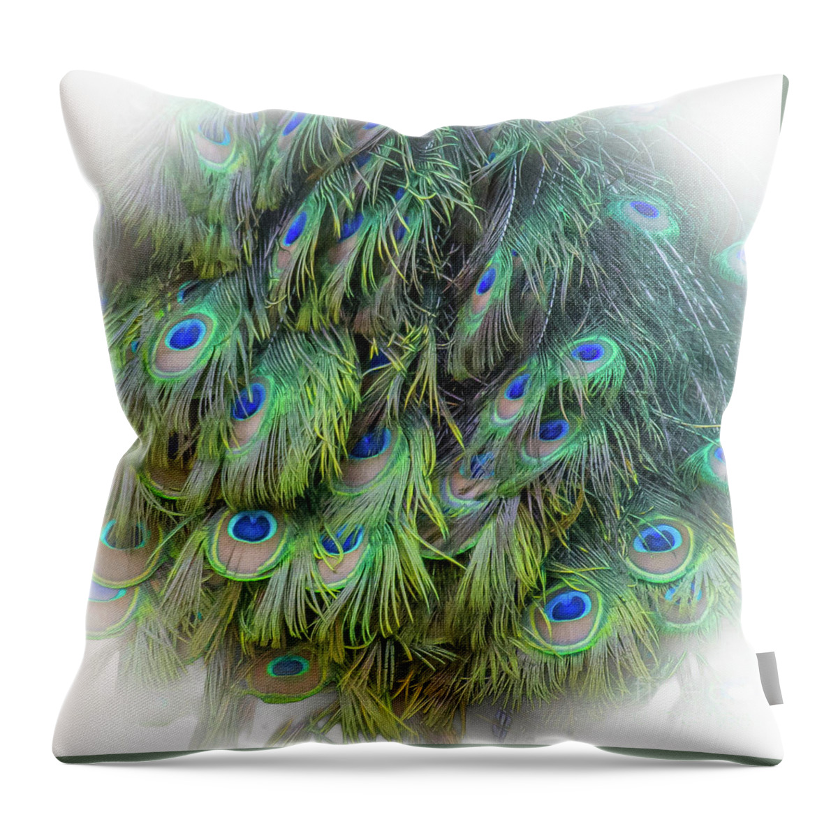 Animal Throw Pillow featuring the photograph Peacock by Barry Bohn