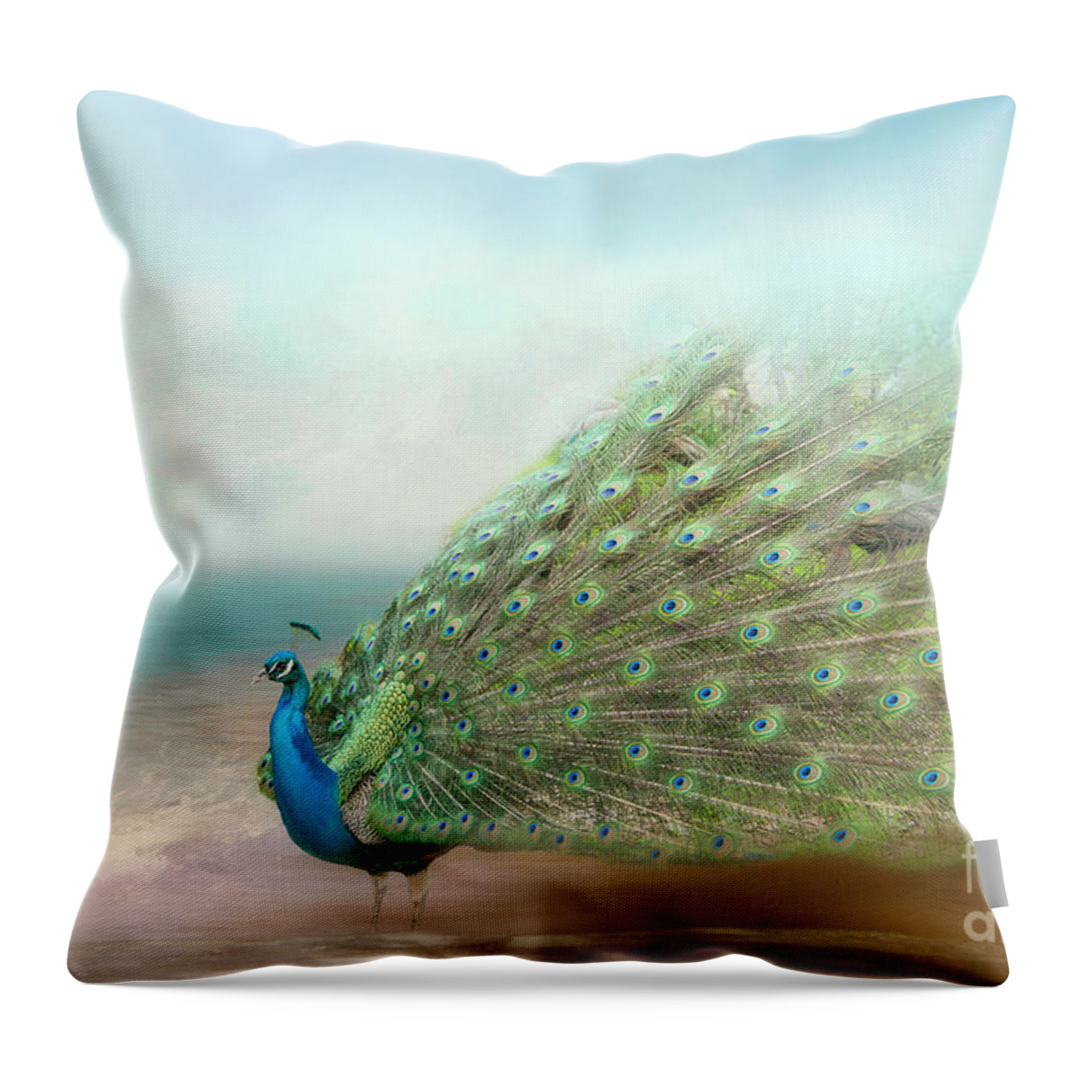 Peacock Throw Pillow featuring the photograph Peacock Beauty by Bonnie Barry