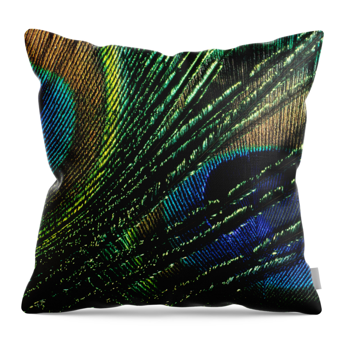 Peacock Throw Pillow featuring the photograph Peacock Eyes by Jerry McElroy