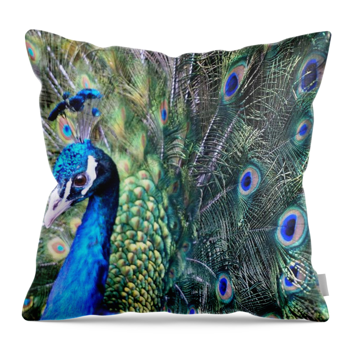Peacock Throw Pillow featuring the photograph Peacock by Julia Ivanovna Willhite
