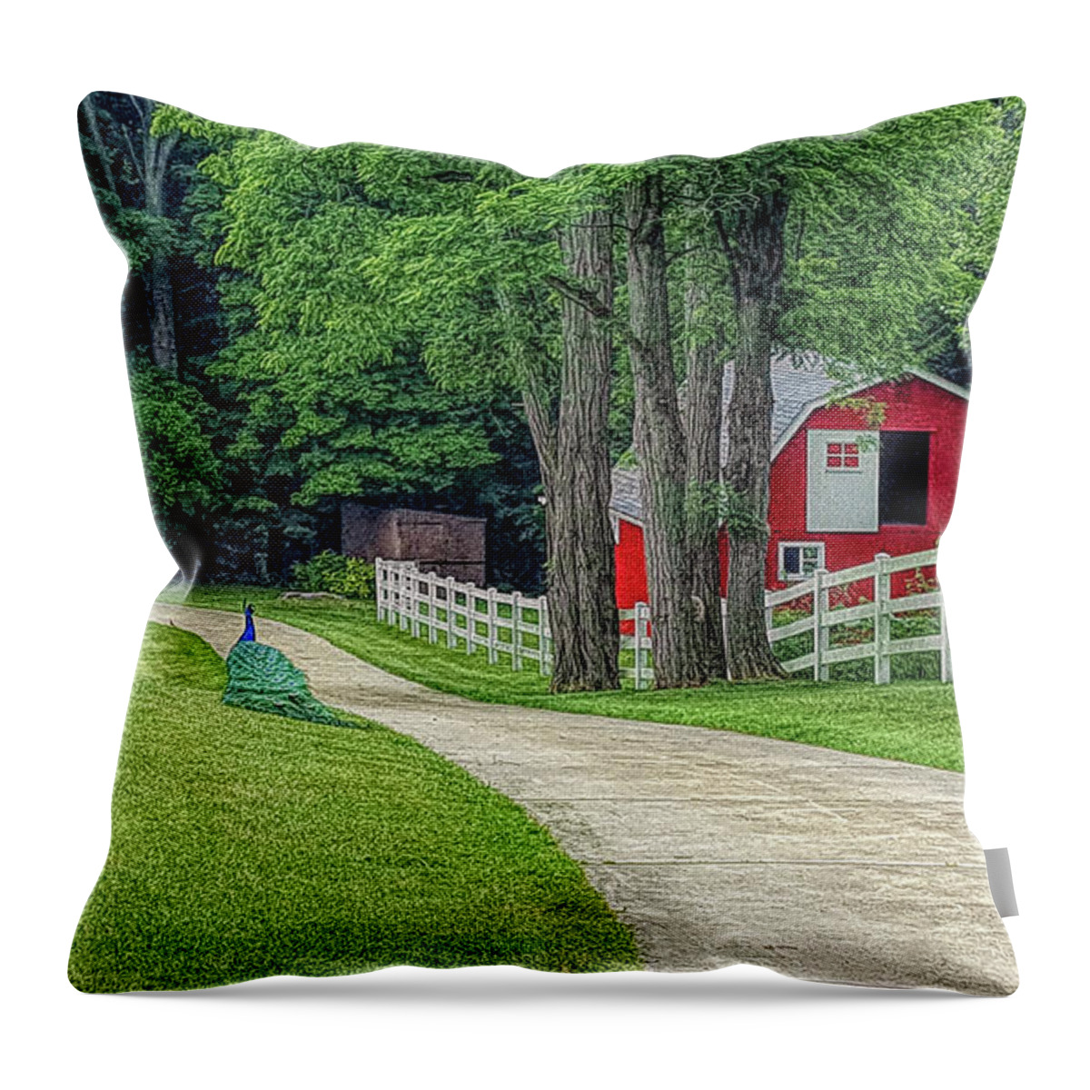 Peacock Throw Pillow featuring the photograph Peacock Ranch by Mary Timman