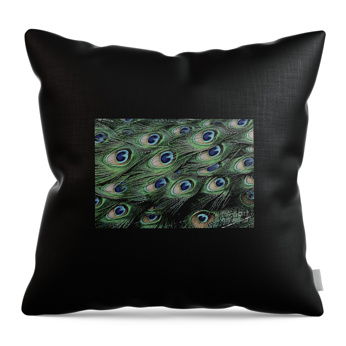 Feather Throw Pillow featuring the photograph Peacock Tail Feathers by Jean Wright