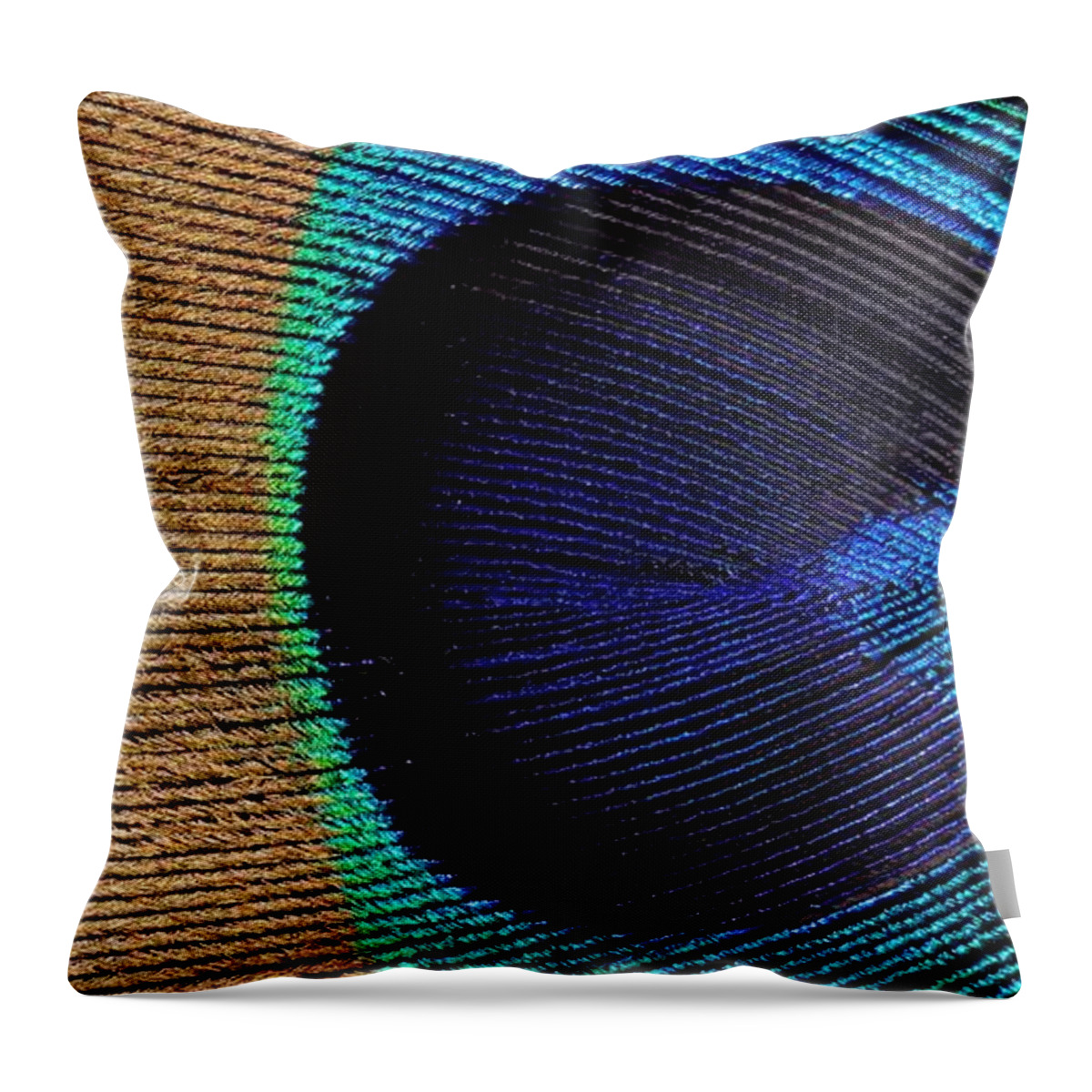 Kj Swan Feathers Throw Pillow featuring the photograph Peacock Weave by KJ Swan