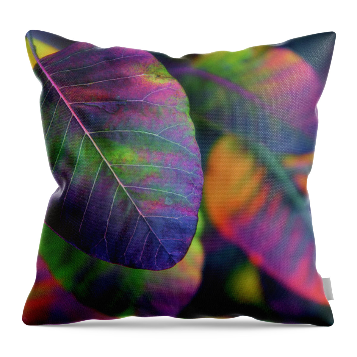 Leaves Throw Pillow featuring the photograph Peak Foliage by Jessica Jenney