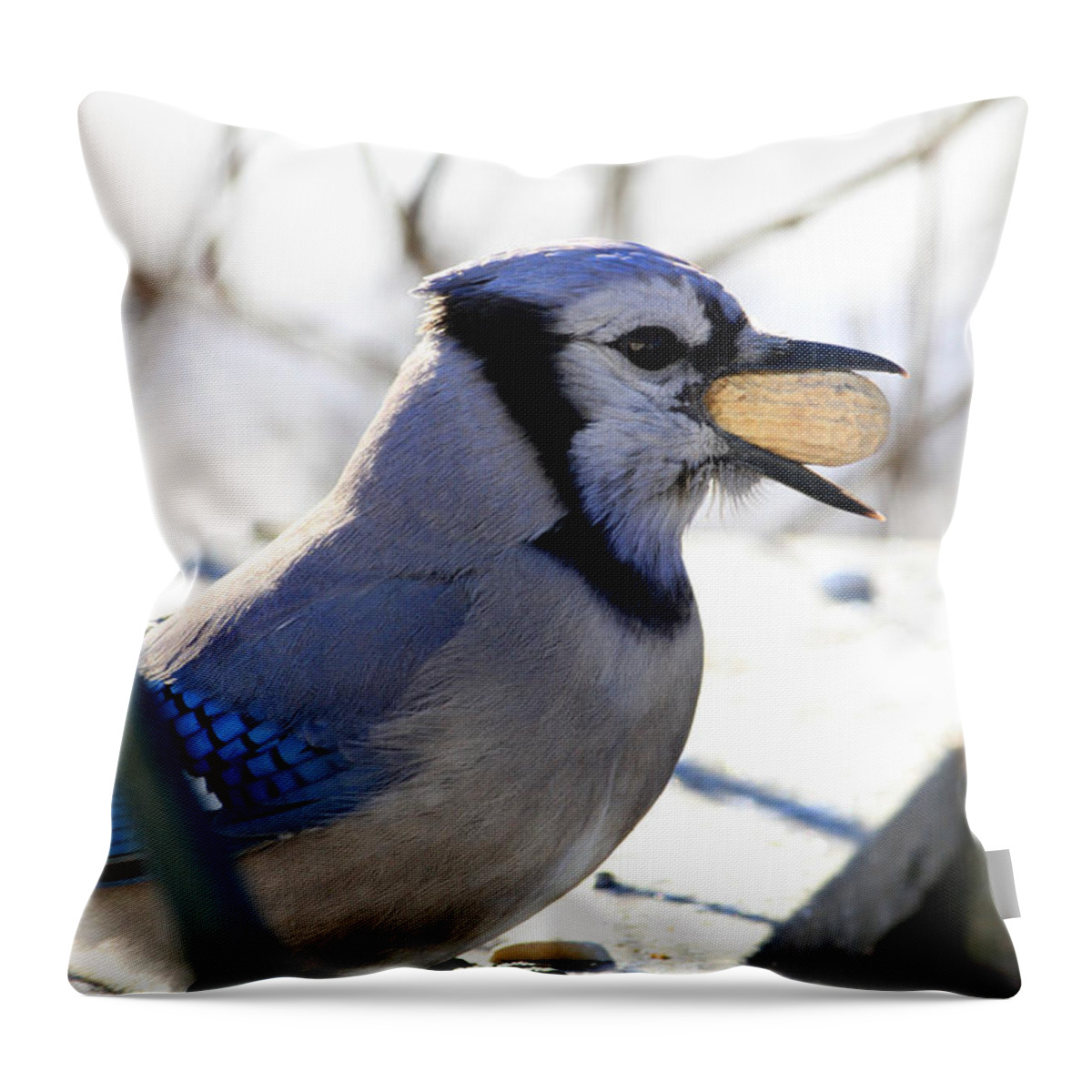 Blue Jay Throw Pillow featuring the photograph Peanut Eater by Rick Rauzi