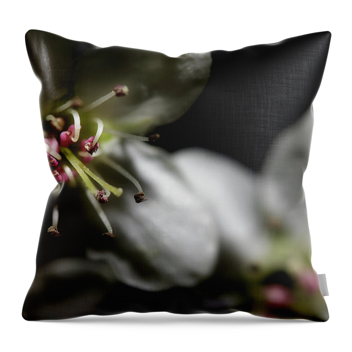 Blossoms Throw Pillow featuring the photograph Pear Blossoms by Mike Eingle