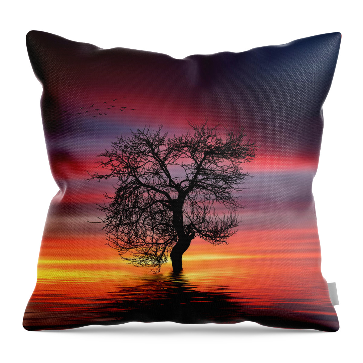 Sunlight Throw Pillow featuring the photograph Pear on lake by Bess Hamiti