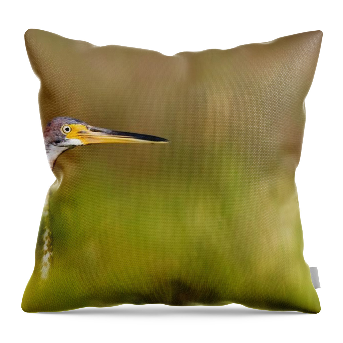 Heron Throw Pillow featuring the photograph Peek-a-boo Birdie by Bob Decker