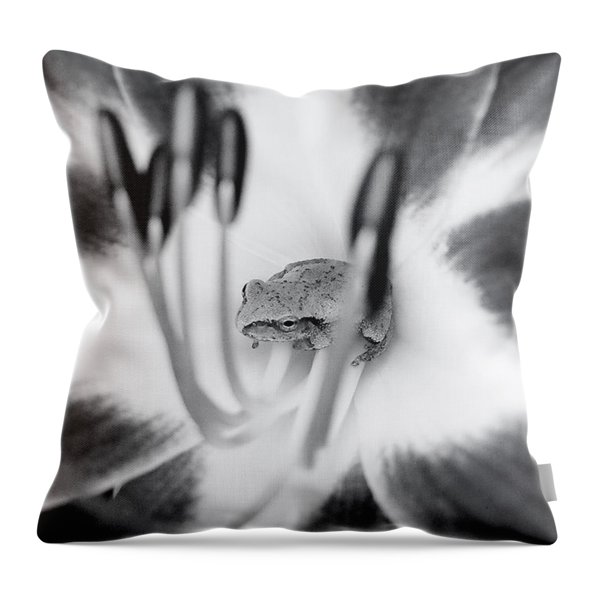 Copes Throw Pillow featuring the photograph Peek A Boo by Kathi Mirto