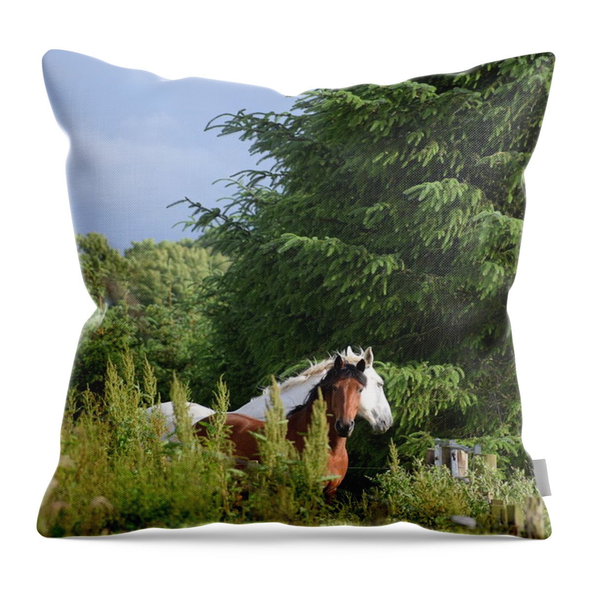 Forest Throw Pillow featuring the photograph Peeking Horses by Malibu Bear