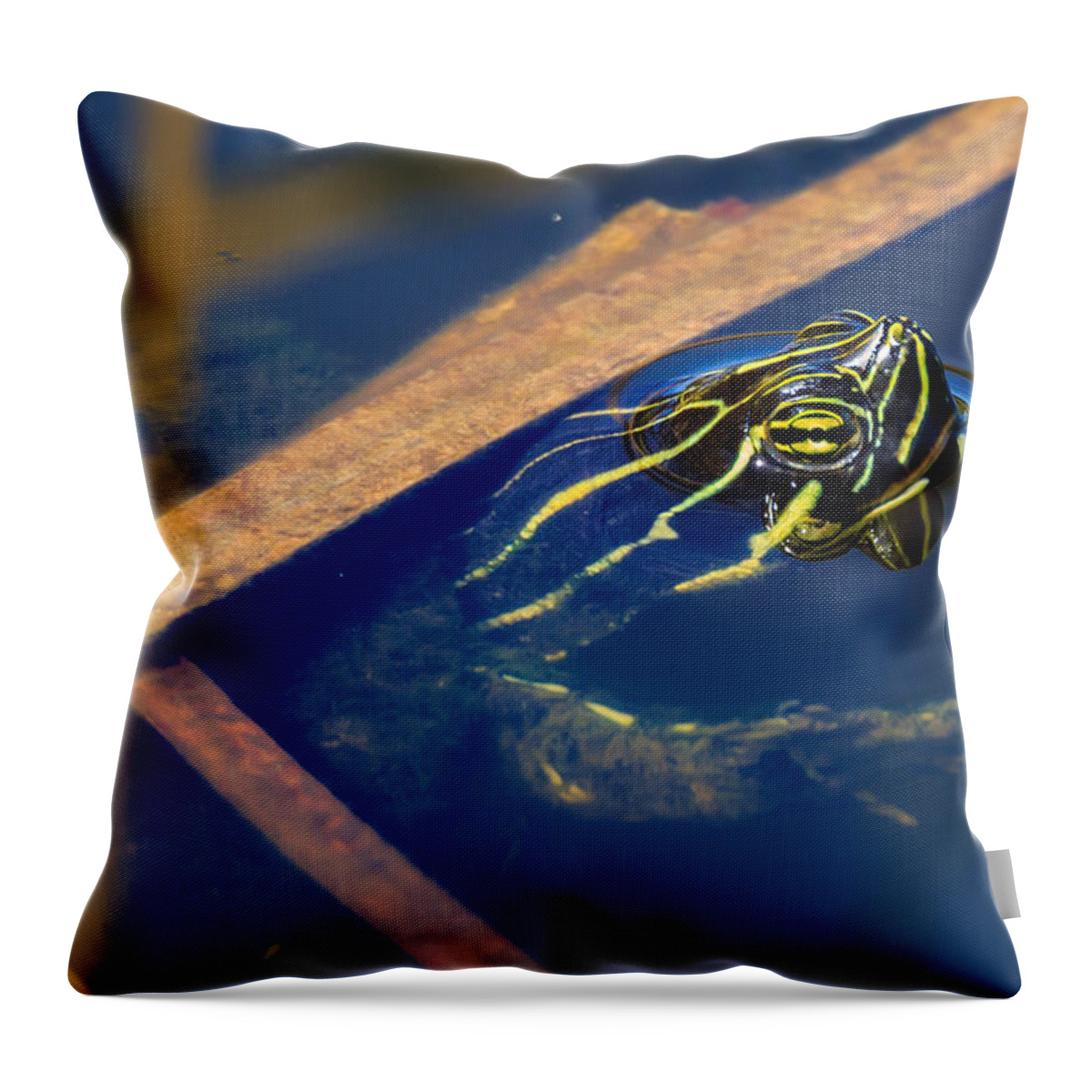 Florida Throw Pillow featuring the photograph Peeking Out by Paul Schultz