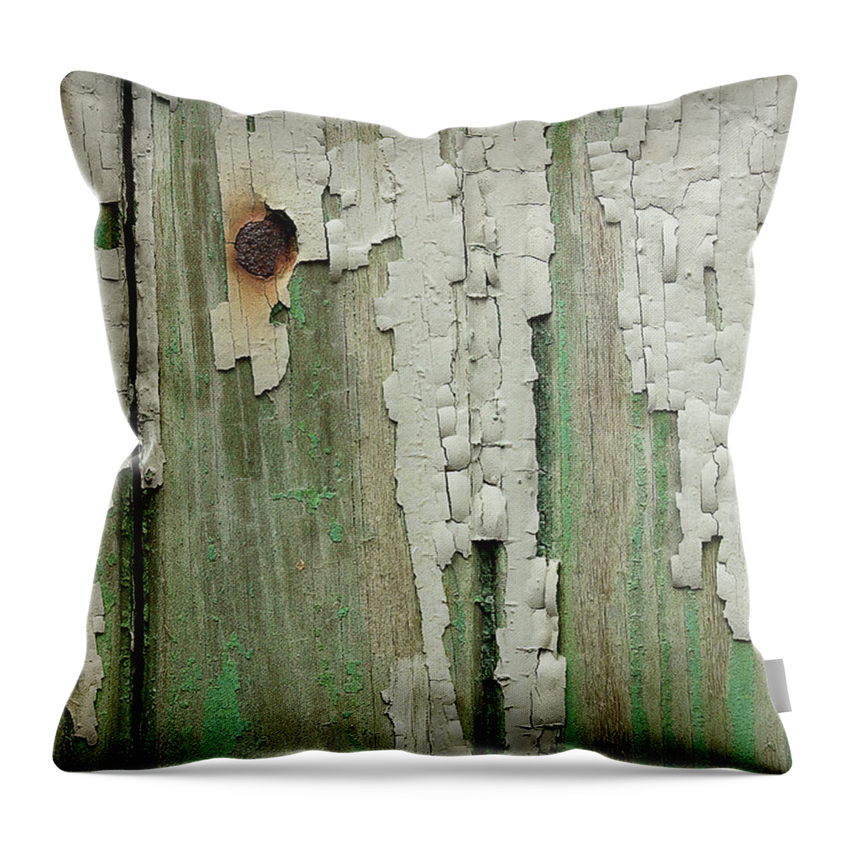 Paint Throw Pillow featuring the photograph Peeling 3 by Mike Eingle
