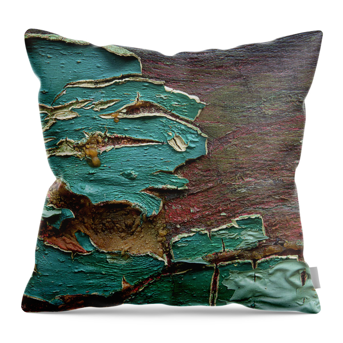 Paint Throw Pillow featuring the photograph Peeling by Mike Eingle