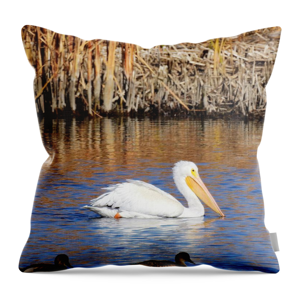Bird Throw Pillow featuring the photograph Pelican Fall Colors by Nicole Belvill
