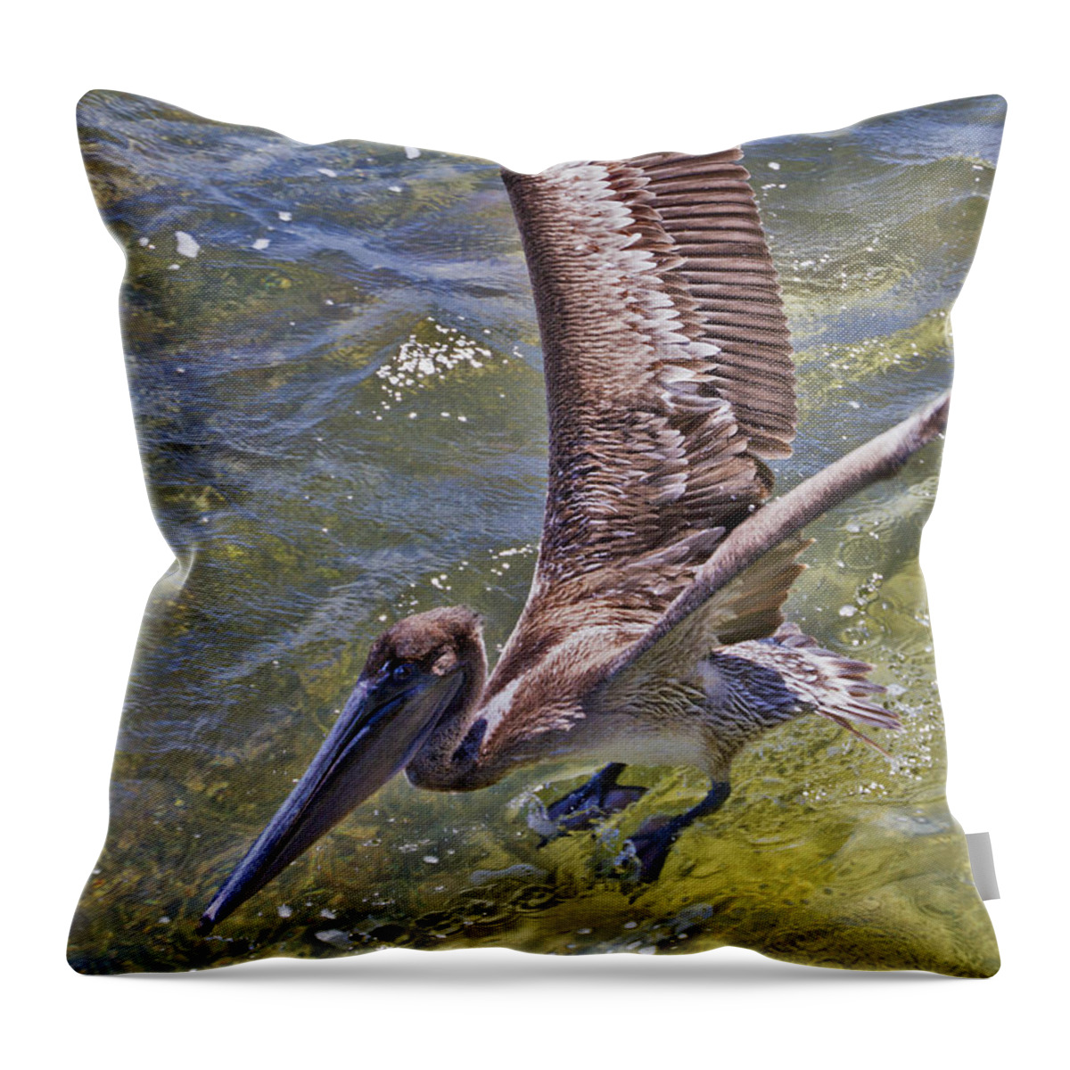 Pelican Throw Pillow featuring the photograph Pelican Taking Off by Bob Slitzan