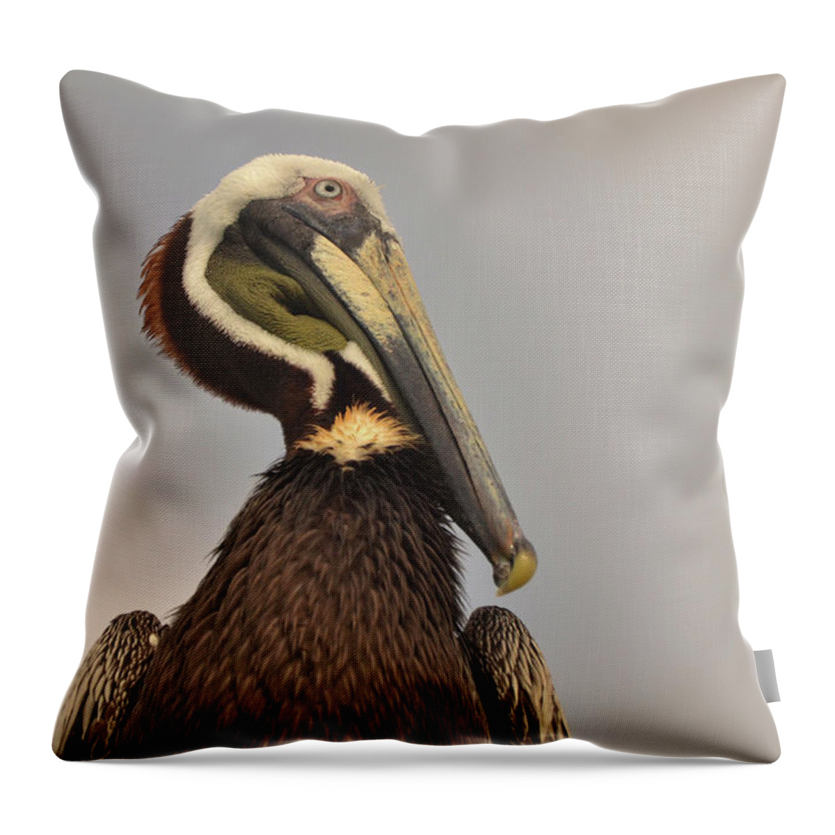 Pelican Throw Pillow featuring the photograph Pelican by Nancy Landry