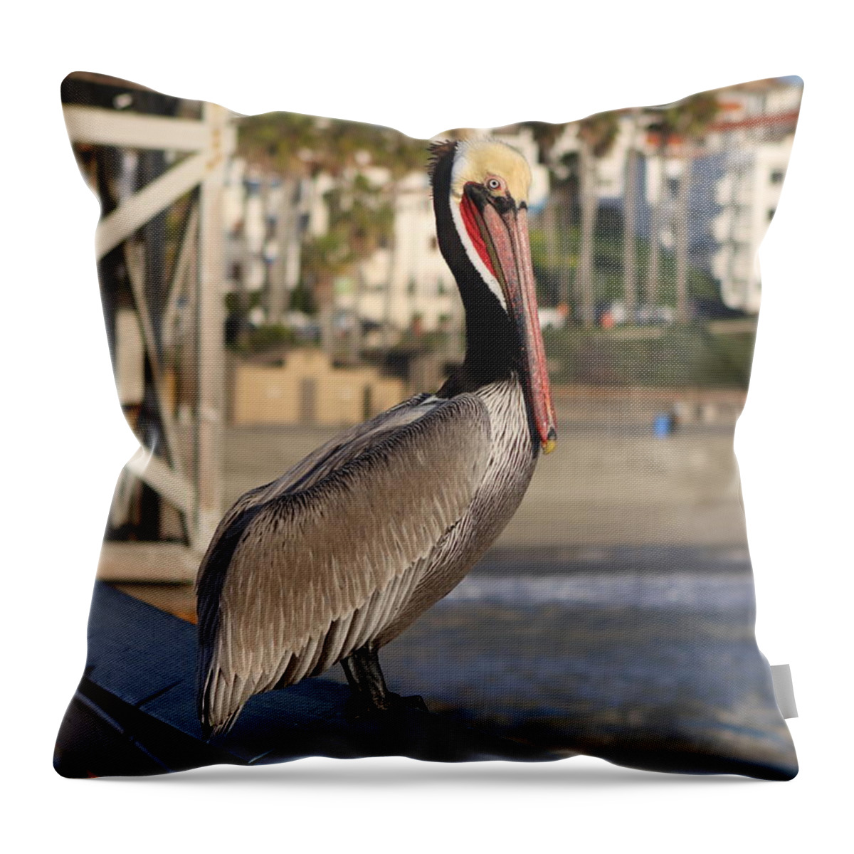 Pelican Throw Pillow featuring the photograph Pelican on Pier by Karen Ruhl