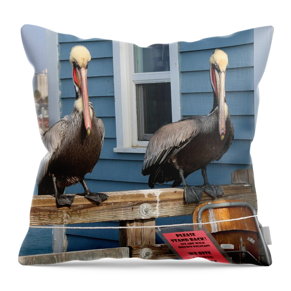 Pelican Throw Pillow featuring the photograph Pelican Pals - 3 by Christy Pooschke
