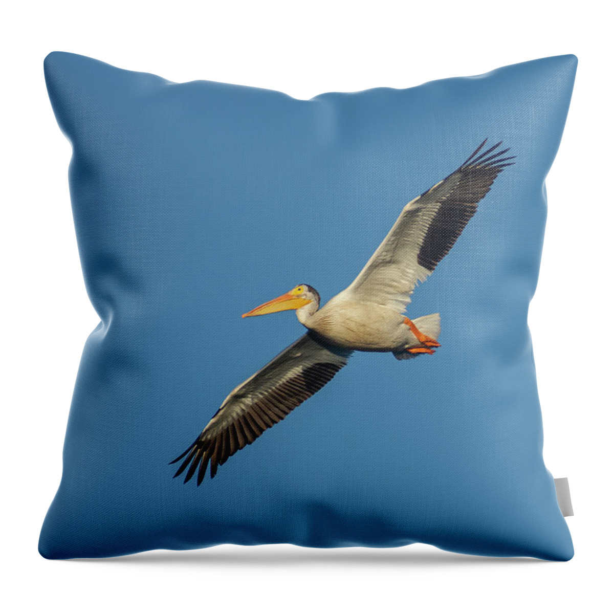 Pelican Throw Pillow featuring the photograph Pelican by Rick Mosher