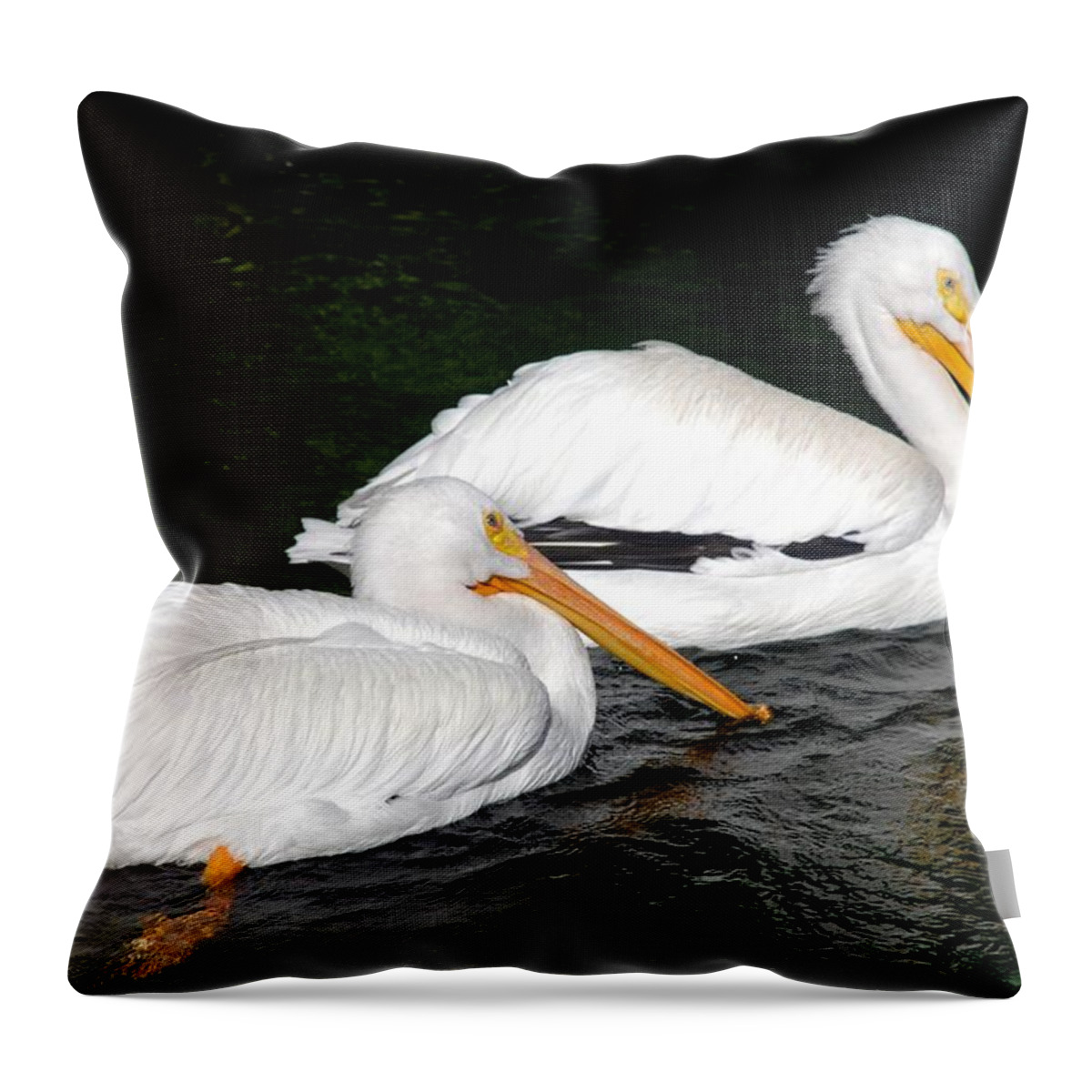 Ft. Worth Throw Pillow featuring the photograph Pelican Swim by Kenny Glover